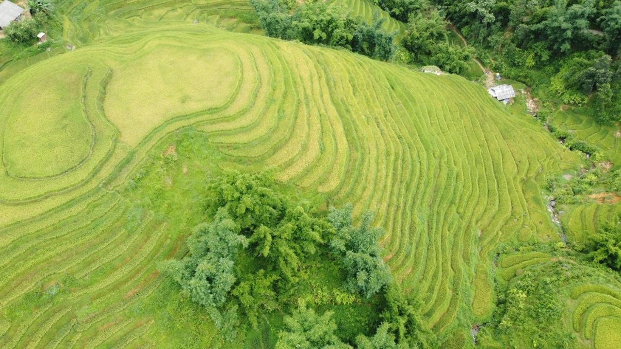 May Homestay Sapa Екстериор снимка