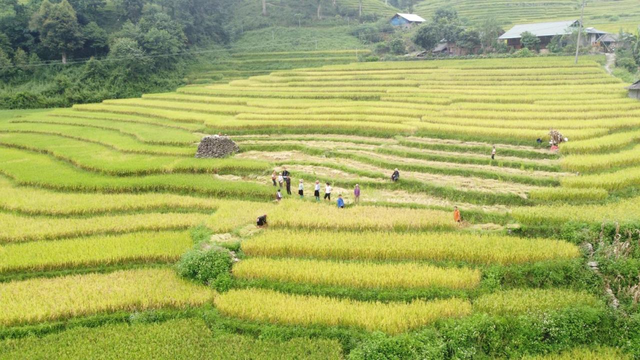 May Homestay Sapa Екстериор снимка